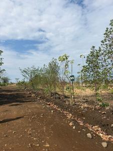 Image of 530 Sq.ft 1 RK Farm House for sale in Wanadongri, Nagpur for Rs. 1680000