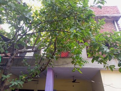Balcony Image of 150 Sq.ft 2 BHK Independent House for sale in Nehru Colony Amritsar for Rs. 4500000