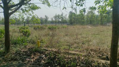 Kohinoor hills Plot View 3