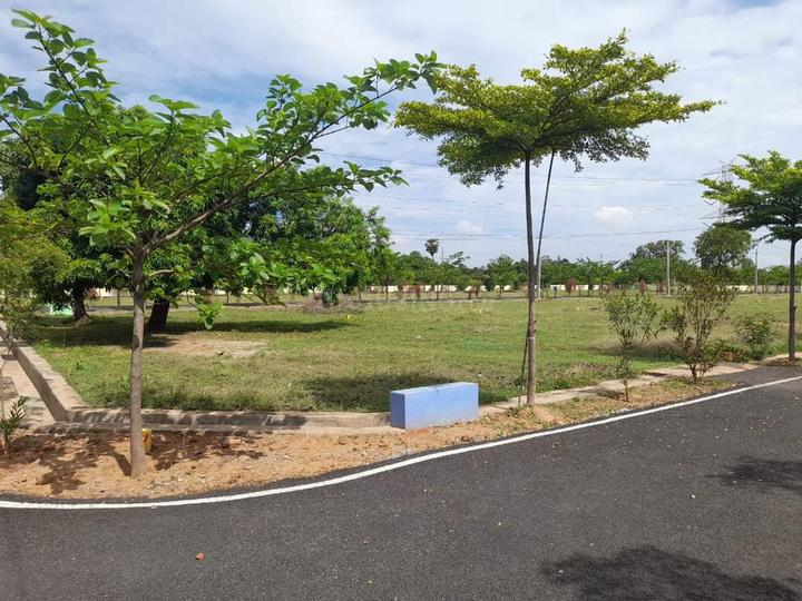 Kothavalasa Main Image 1