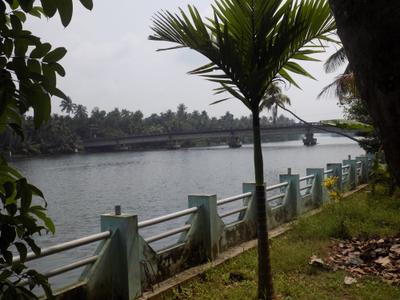 Image of 3200 Sq.ft 5 BHK Villa for sale in North Parvur, Kochi for Rs. 40000000