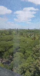Balcony Image of 3000 Sq.ft 3 BHK Apartment / Flat for sale in Jayanagar Bengaluru for Rs. 69000000