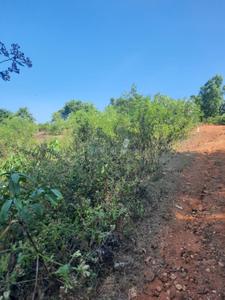 Image of 93200 Sq.ft Residential Plot / Land for sale in Kumta, Uttara Kannada for Rs. 86000000