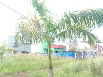 Image of 720 Sq.ft Residential Plot / Land for sale in Fresco Fountain City Plots, Sankharipota, Raypur for Rs. 390004