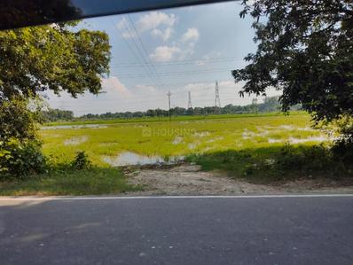 Image of 43560 Sq.ft Residential Plot / Land for sale in Ashapur Village, Ayodhya for Rs. 60000000