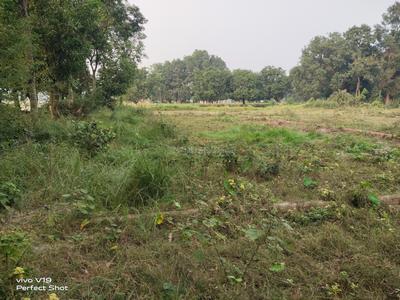 Image of 1760 Sq.ft Residential Plot / Land for sale in Narayanpur Anant, Muzaffarpur for Rs. 3000000