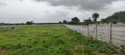 Kandukur Plot View 1
