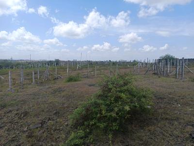 Image of 550 Sq.ft Residential Plot / Land for sale in Lohegaon, Pune for Rs. 1805000