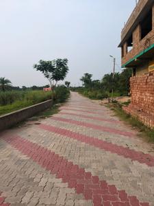 Nest Valley Internal Roads 2