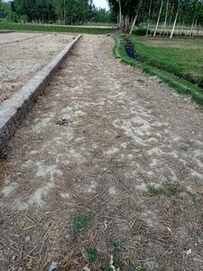 Image of 3400 Sq.ft Residential Plot / Land for sale in C.B.Ganj, Bareilly for Rs. 900000