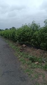 Image of 1775 Sq.ft Residential Plot / Land for sale in Kedgaon, Ahmednagar for Rs. 3200000