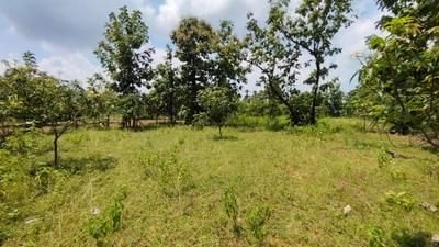 Image of 31968 Sq.ft Residential Plot / Land for sale in Kothavalasa, Visakhapatnam for Rs. 14800000