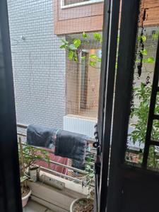 Balcony Image of 550 Sq.ft 2 BHK Apartment / Flat for sale in RWA Uttam Nagar Gali 6 Block T A, Uttam Nagar New Delhi for Rs. 2633200