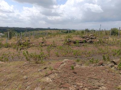 Image of 900 Sq.ft Residential Plot / Land for sale in Lohegaon, Pune for Rs. 3012000
