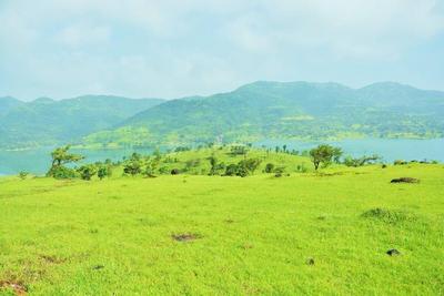 Image of 189000 Sq.ft Residential Plot / Land for sale in Panshet, Pune for Rs. 65000000