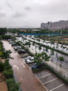 Balcony Image of 720 Sq.ft 1 BHK Apartment / Flat for sale in Lodha Lakeshore Greens, Palava Phase 2 Thane for Rs. 3150000
