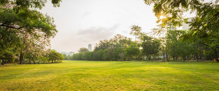 Gaurs The Islands Main Image 1