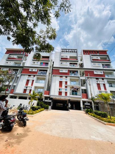 planet 40 Main Image 1