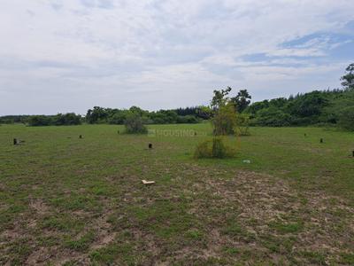 Image of 2400 Sq.ft Residential Plot / Land for sale in Tindivanam, Viluppuram for Rs. 1430000