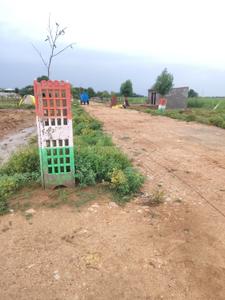 Ajd South Plot View 2
