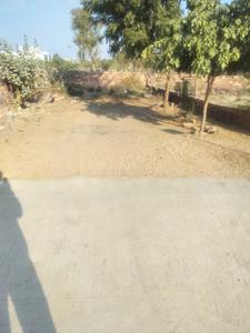 Mandor Plot View 3