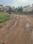 Dharitri New Royal Enclave Internal Roads 2