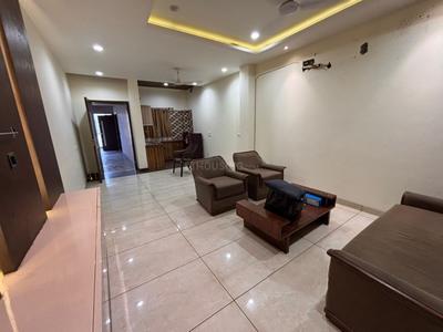 Hall Image of 800 Sq.ft 1 BHK Apartment / Flat for rent in Model Town Ludhiana for Rs. 16000