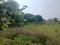 Experion Westerlies Main Image 1