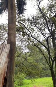 Image of 10000 Sq.ft Residential Plot / Land for sale in S2 Realty Discovery Phase III, Khandala, Lonavala for Rs. 60000000