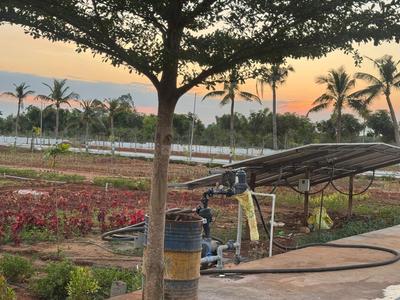 Image of 200 Sq.ft Residential Plot / Land for sale in Pishini, Srikakulam for Rs. 2600000