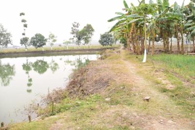 Image of 1440 Sq.ft Residential Plot / Land for sale in Barrackpore, Kolkata for Rs. 2500000