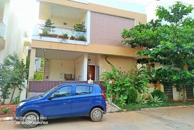 Plot View
