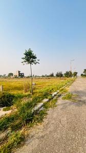 Image of 475 Sq.ft Residential Plot / Land for sale in Altus Space Muirwoods, New Chandigarh, Chandigarh for Rs. 37500000