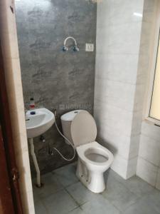 Image of 585 Sq.ft 1 BHK Studio for rent in Amrapali Dream Valley, Noida Extension, Greater Noida for Rs. 14000