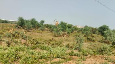 Image of 1881 Sq.ft Residential Plot / Land for sale in Jagatpura, Jaipur for Rs. 19855000