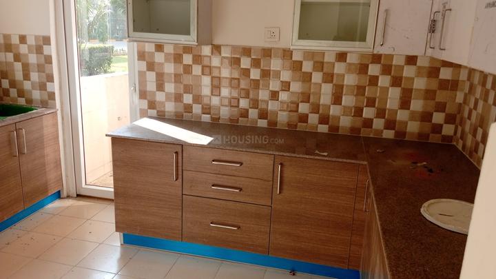 Tulip Ace Main Image 1