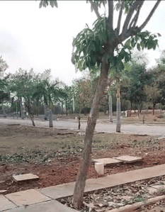 Image of 1320 Sq.ft Residential Plot / Land for sale in RM Green Square, Kuthaganahalli, Bengaluru for Rs. 5940000