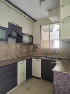 Kitchen Image of 1158 Sq.ft 3 BHK Apartment / Flat for rent in Stellar Jeevan, Noida Extension Greater Noida for Rs. 22200