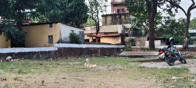 Image of 4248 Sq.ft Residential Plot / Land for sale in Hathibarkala Salwala, Dehradun for Rs. 26000000
