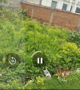 Image of 1385 Sq.ft Residential Plot / Land for sale in Gomti Nagar, Lucknow for Rs. 16500000