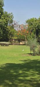 Image of 272 Sq.ft Residential Plot / Land for sale in Bavla, Ahmedabad for Rs. 1860000