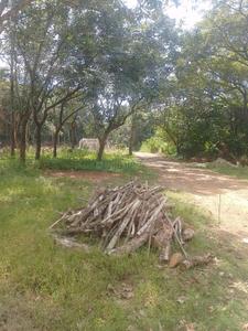Image of 3485 Sq.ft Residential Plot / Land for sale in Kolazhy, Thrissur for Rs. 2400000