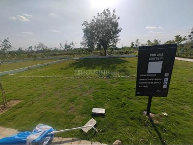 Image of 1500 Sq.ft Residential Plot / Land for sale in Godrej Forest Estate, Samruddhi Mahamarg, Nagpur for Rs. 6600000