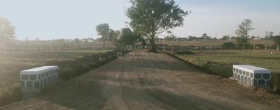 Image of 1377 Sq.ft Residential Plot / Land for sale in Gangapur, Nashik for Rs. 4896000