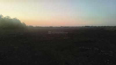 Image of 54450 Sq.ft Residential Plot / Land for sale in Reddiarpatti, Tirunelveli for Rs. 25000000