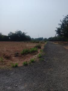 Image of 1089 Sq.ft Residential Plot / Land for sale in Boisar, Mumbai for Rs. 950000