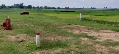 Image of 1000 Sq.ft Residential Plot / Land for sale in Arsande, Ranchi for Rs. 1500000