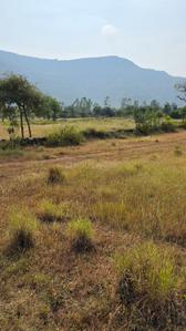 Image of 11000 Sq.ft Residential Plot / Land for sale in Varve Khurd, Pune for Rs. 1750000