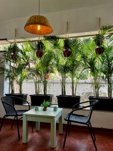 Balcony Image of 829 Sq.ft 1 BHK Apartment / Flat for sale in Arpora Goa for Rs. 11500000