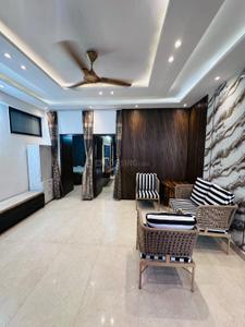 Hall Image of 2700 Sq.ft 3 BHK Builder Floor for rent in Sector 9 Panchkula for Rs. 125000